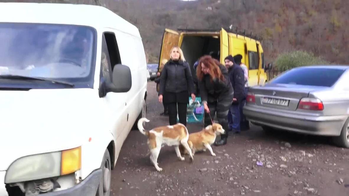 Nagorno Karabaj: Voluntarios rescatan a animales abandonados antes de marcharse de la región