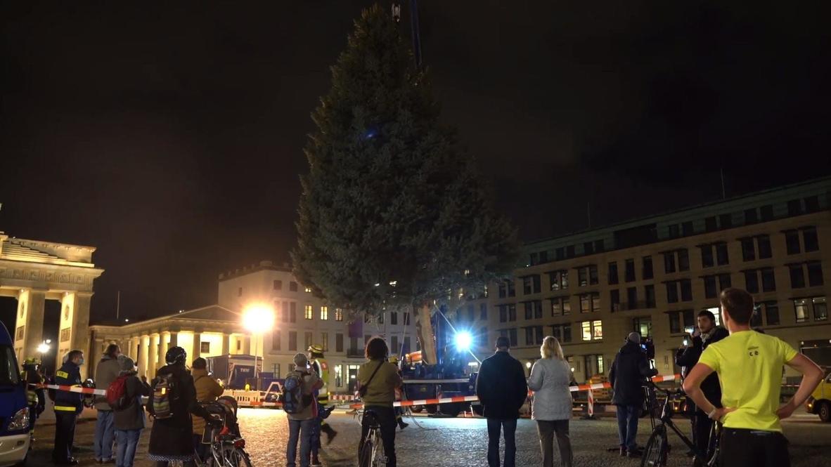 Germany: Christmas tree set up in front of Berlin's Brandenburg Gate amid partial lockdown