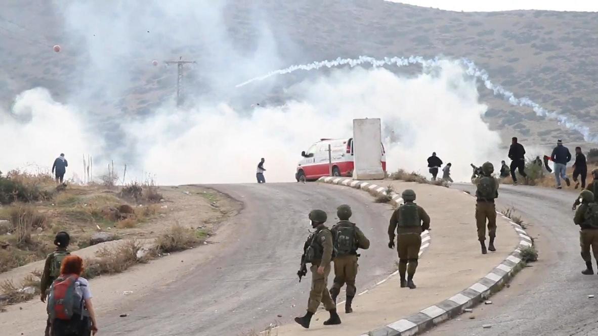 State of Palestine: Dozens of anti-annexation protesters injured as Israeli forces use tear gas