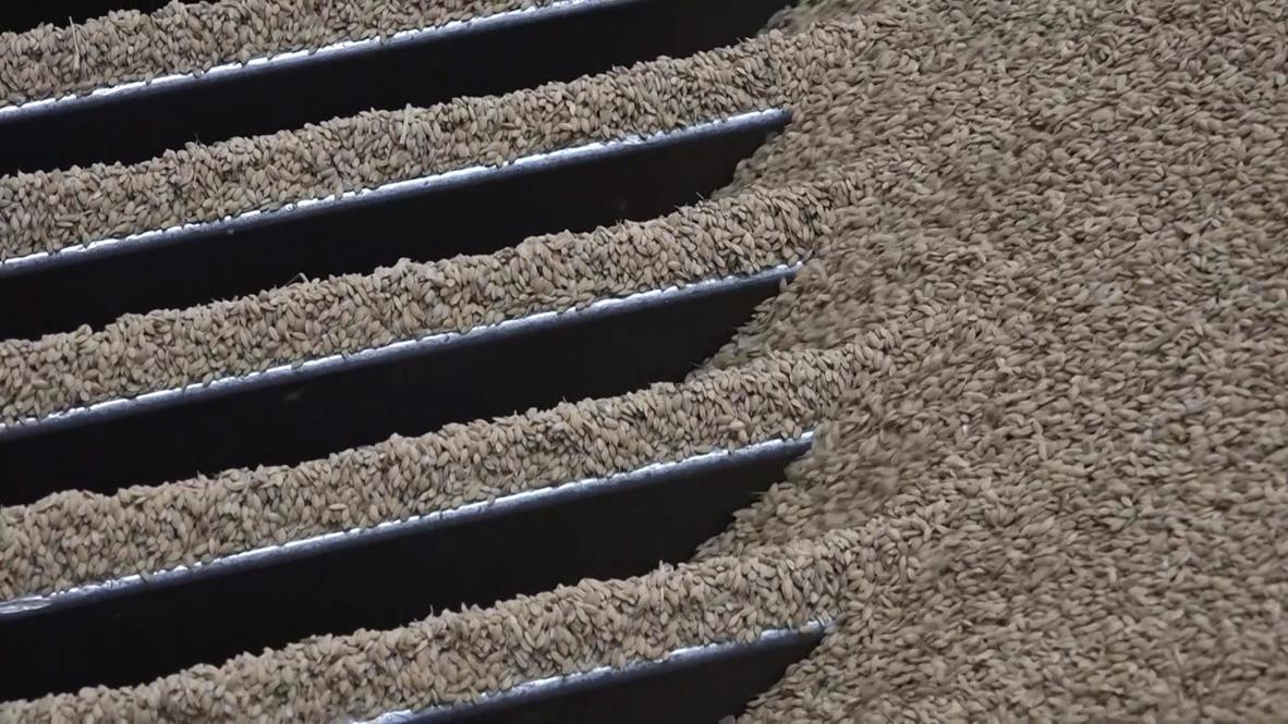 إسبانيا: شركة "سيات" للسيارات تستخدم قشور الأرز لتصنيع قطع الغيار