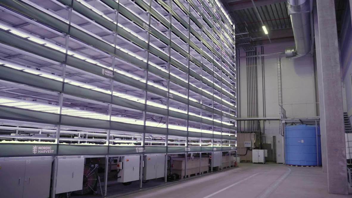 Inauguran en Dinamarca una enorme granja vertical sin emisiones de carbono