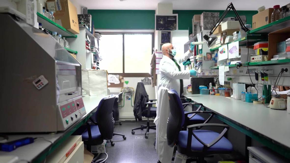 España: Ayahuasca podría contener un prometedor tratamiento para el Alzheimer y el Parkinson