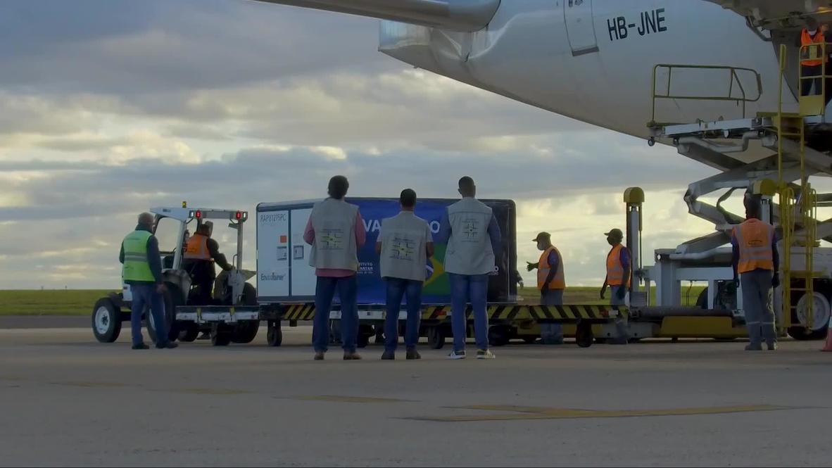 Brasil: Un cargamento de 5,5 millones de dosis de la vacuna china contra el covid-19 llega a Sao Paulo