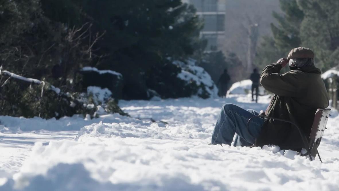 Spain: Madrid residents battle ice and thousands of fallen trees after historic snowfall
