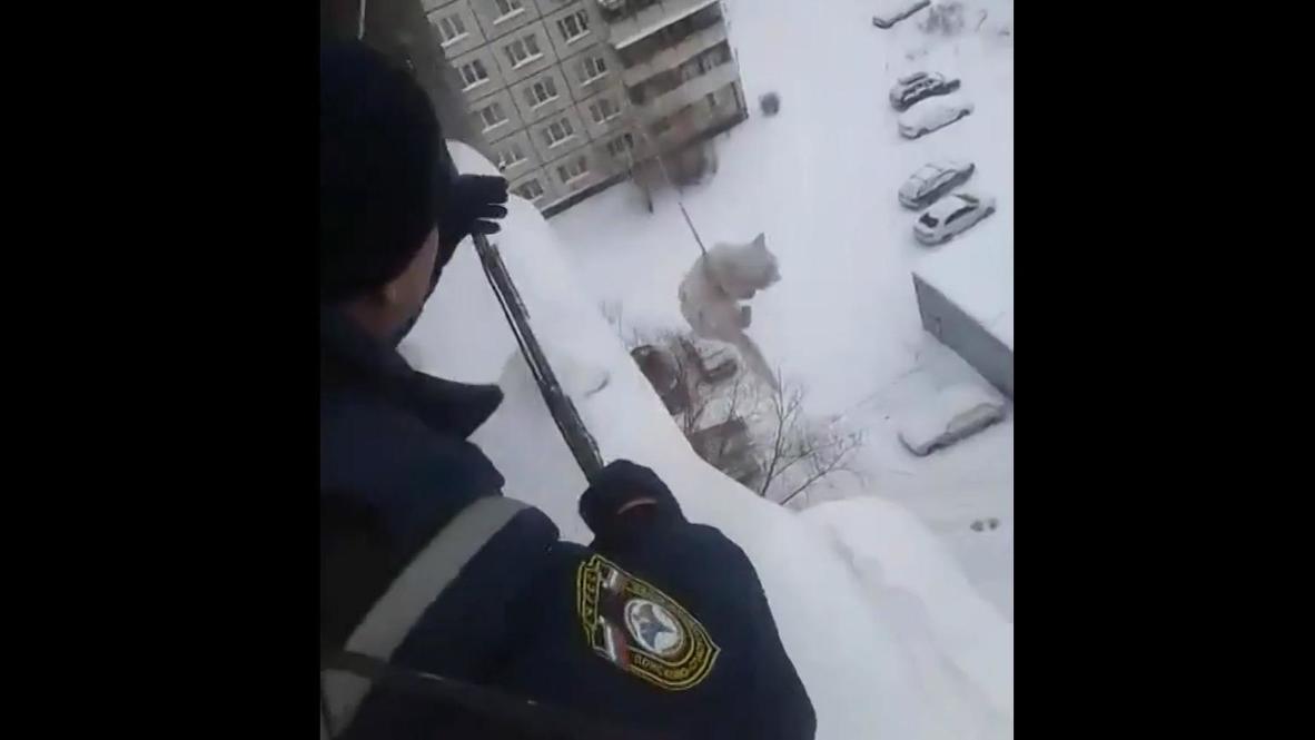 В Челябинске спасли котенка, просидевшего два дня на заснеженной крыше