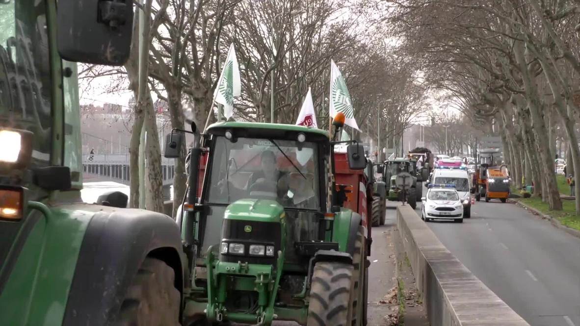 France: Angry farmers protest meat-free diets in Lyon schools