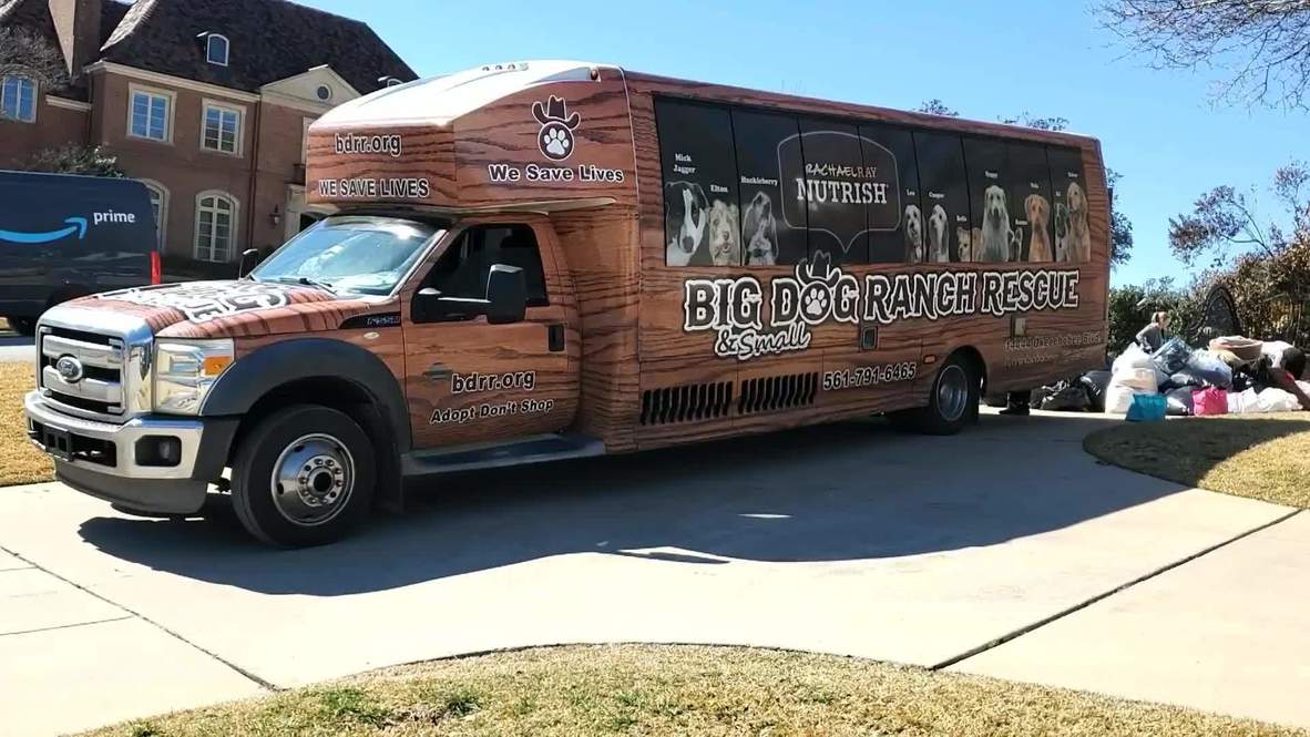 USA: Big Dog Ranch Rescue offers a big hand to shelters hit by Texas snowstorm