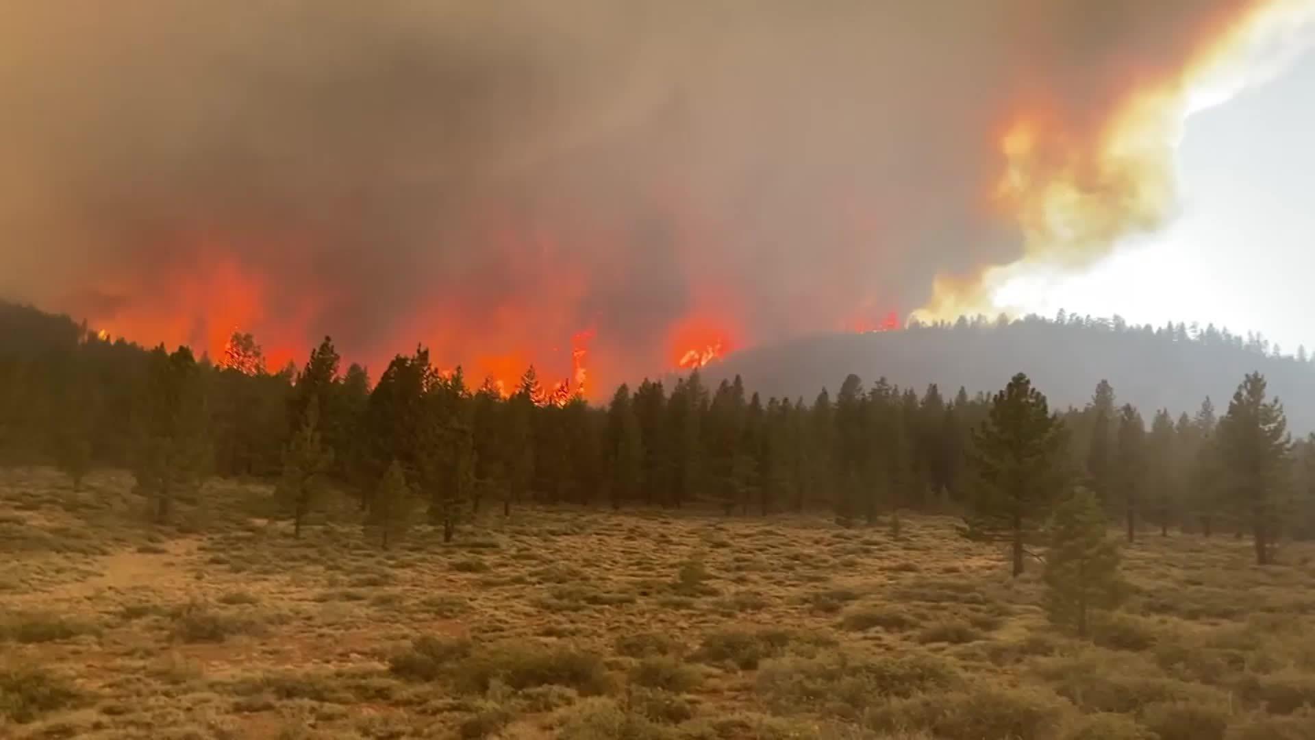 USA Beckwourth Complex Fire burns over 80k acres in California Video