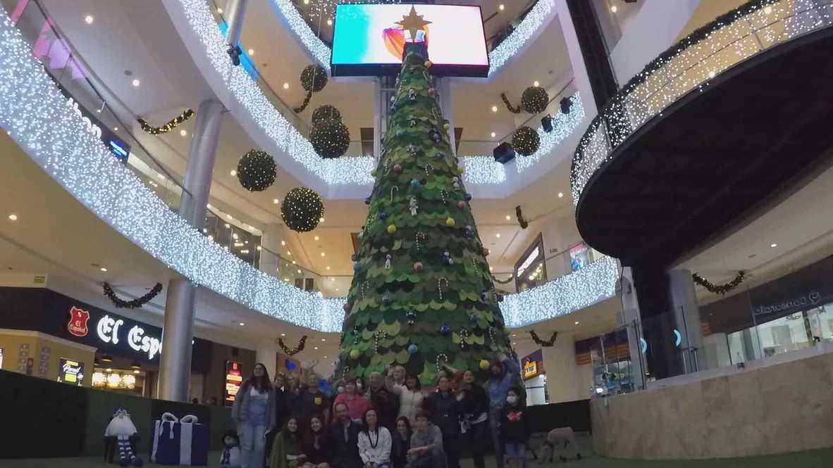 Ecuador: Giant Christmas tree erected 
