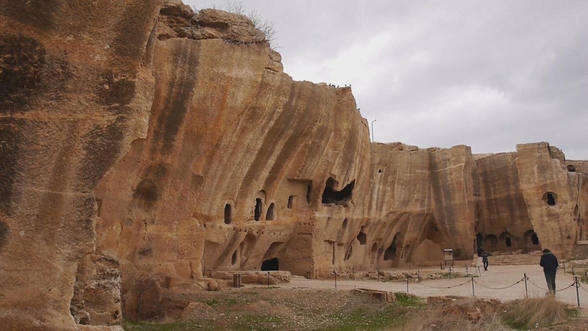 Turquía: Hallazgos en la excavación de Dara arrojan luz sobre el comercio de aceitunas en Mesopotamia