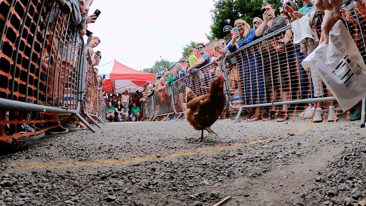 Like Formula 1! - World Hen Racing Championships get Derbyshire egg-cited after pandemic hiatus