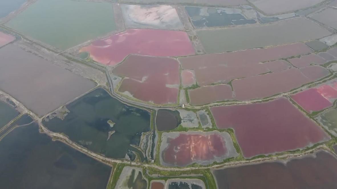 50 shades of borscht! Heatwave turns salt lake waters into different vibrant colors in Yuncheng