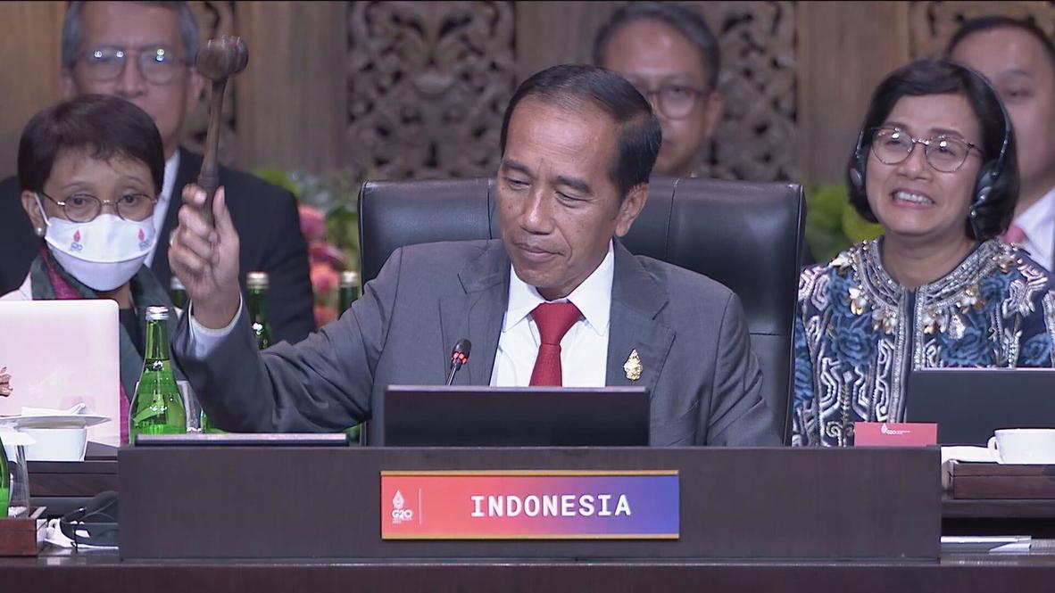 Indonesia: 'Most members condemned war in Ukraine' - G20 summit concludes with official declaration