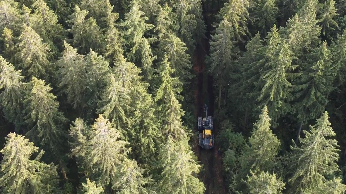 Germany: Bavarian entrepreneur shows forestry using wood gas amid crisis as alternative to fossil fuel