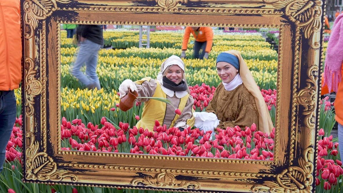 Netherlands: Amsterdam bursts in colours as Tulip Day kicks off