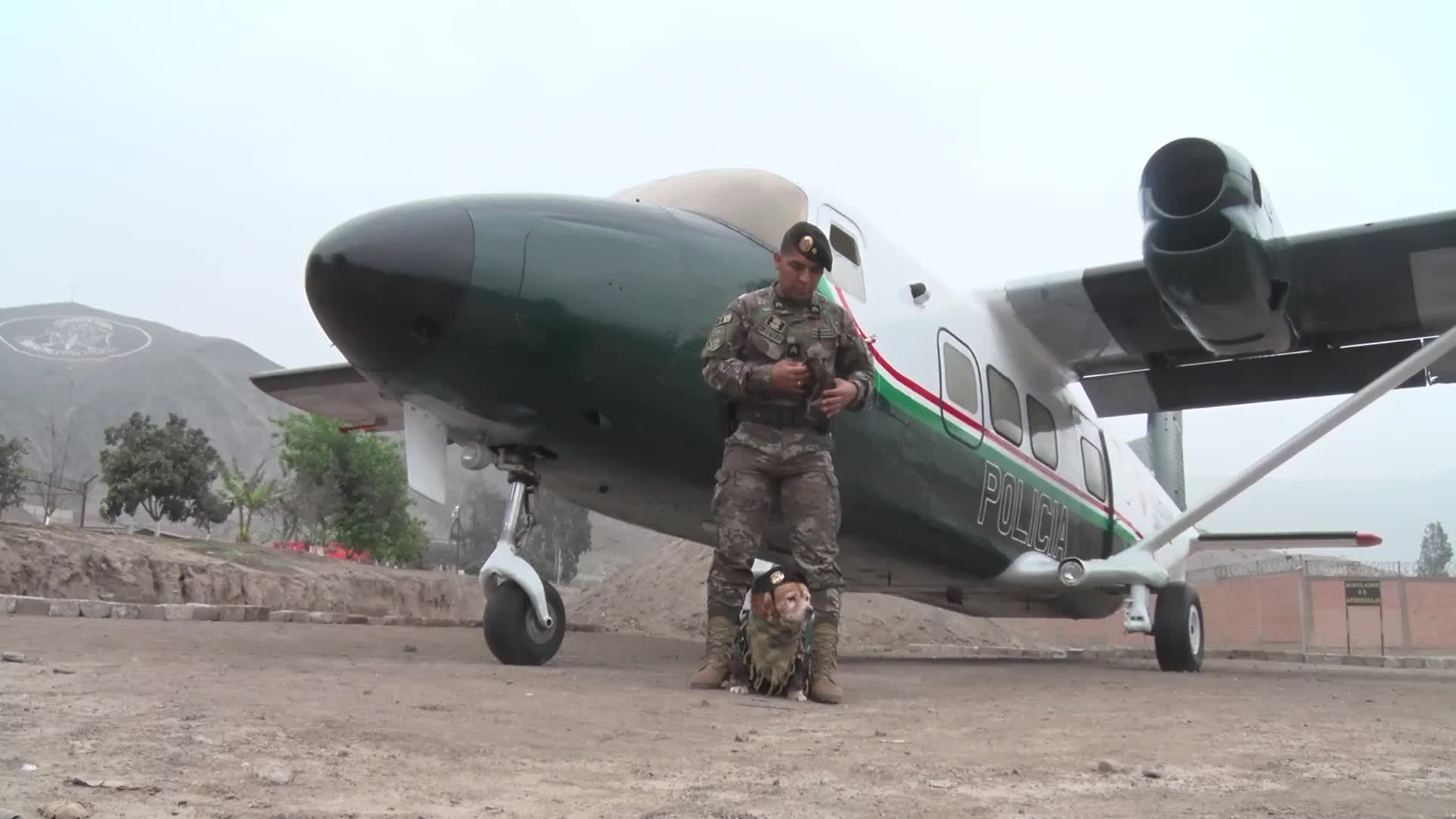 Farewell Chato - Peru's heroic parachuting dog retires after decade of service