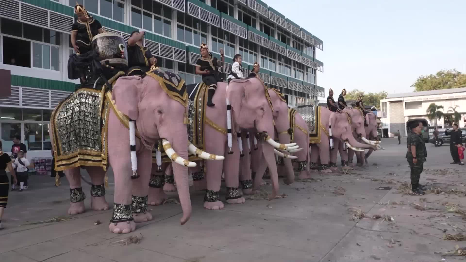 Never forgotten - Majestically adorned PINK elephants bow down to honour late Thai Queen Mother in Bangkok procession