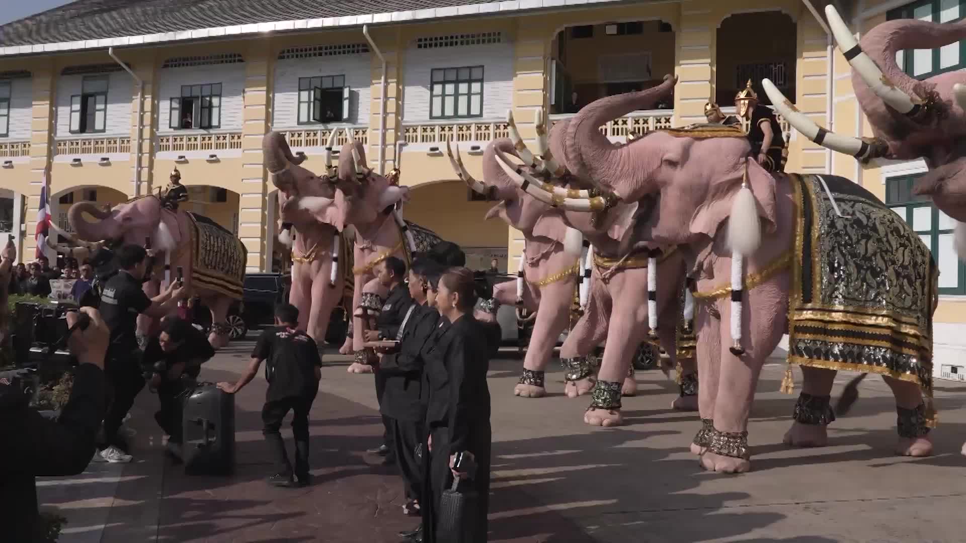 Never forgotten - Majestically adorned PINK elephants march in Bangkok procession to honour late Thai Queen Mother Sirikit