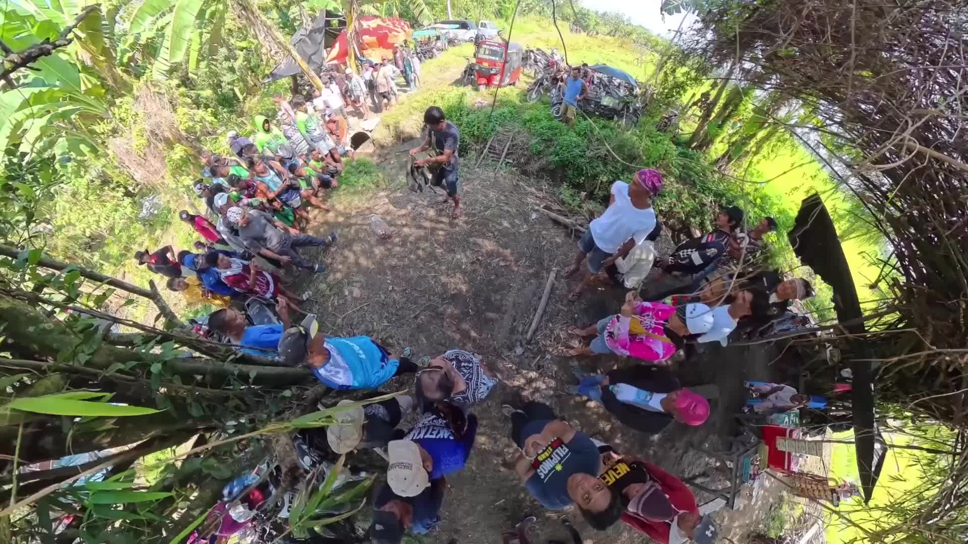 Biting into business! Filipino vendor goes viral for 'curing oil' after letting cobra inject venom in daring stunt