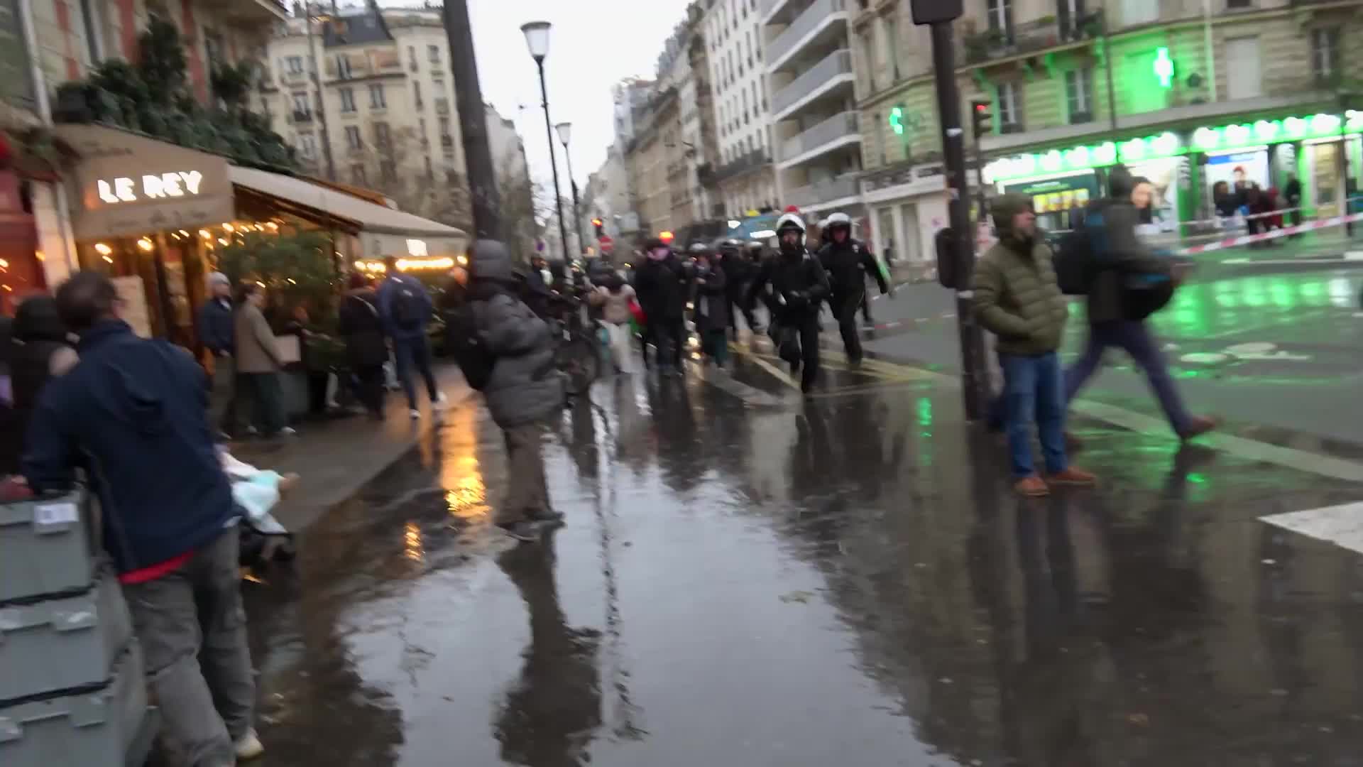 'We must also sanction Israeli colonialism' - Paris rally slams Macron 'double standards' on UN Palestinian Solidarity Day