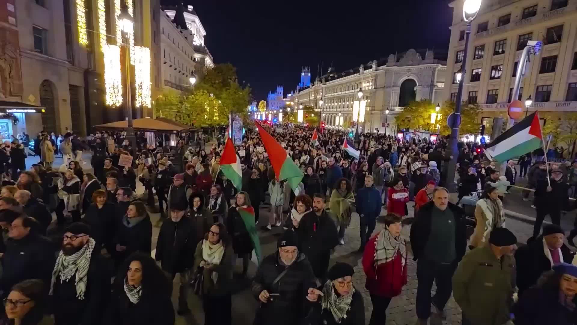 'Until we have what we all hope for' - Thousands join UN Palestine Solidarity Day rally in Madrid, urge govt to cut ties with Israel