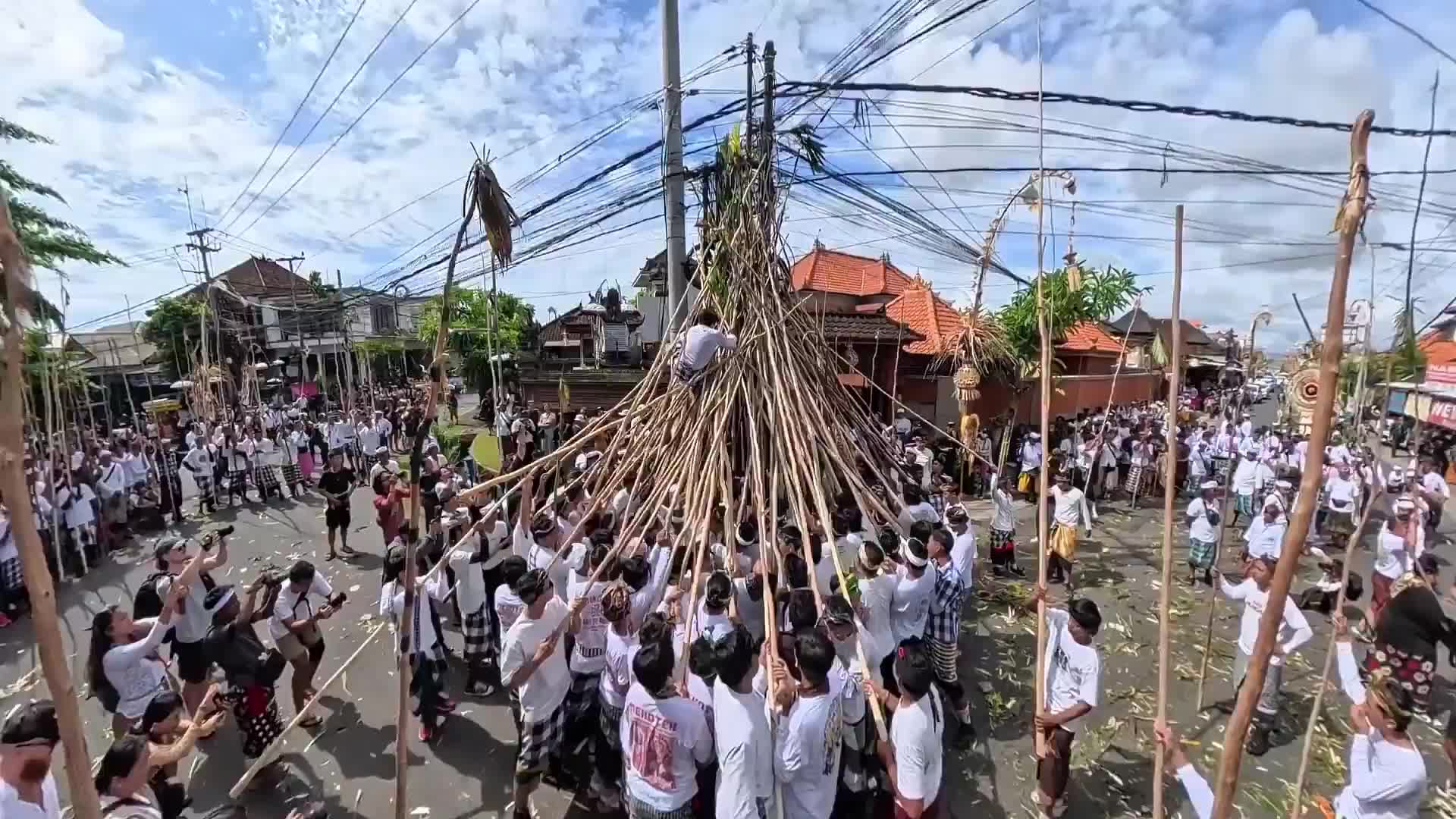 Touch wood! - Crowds raising pule tree poles to avert misfortune amid Balinese ancient ceremony Mekotek