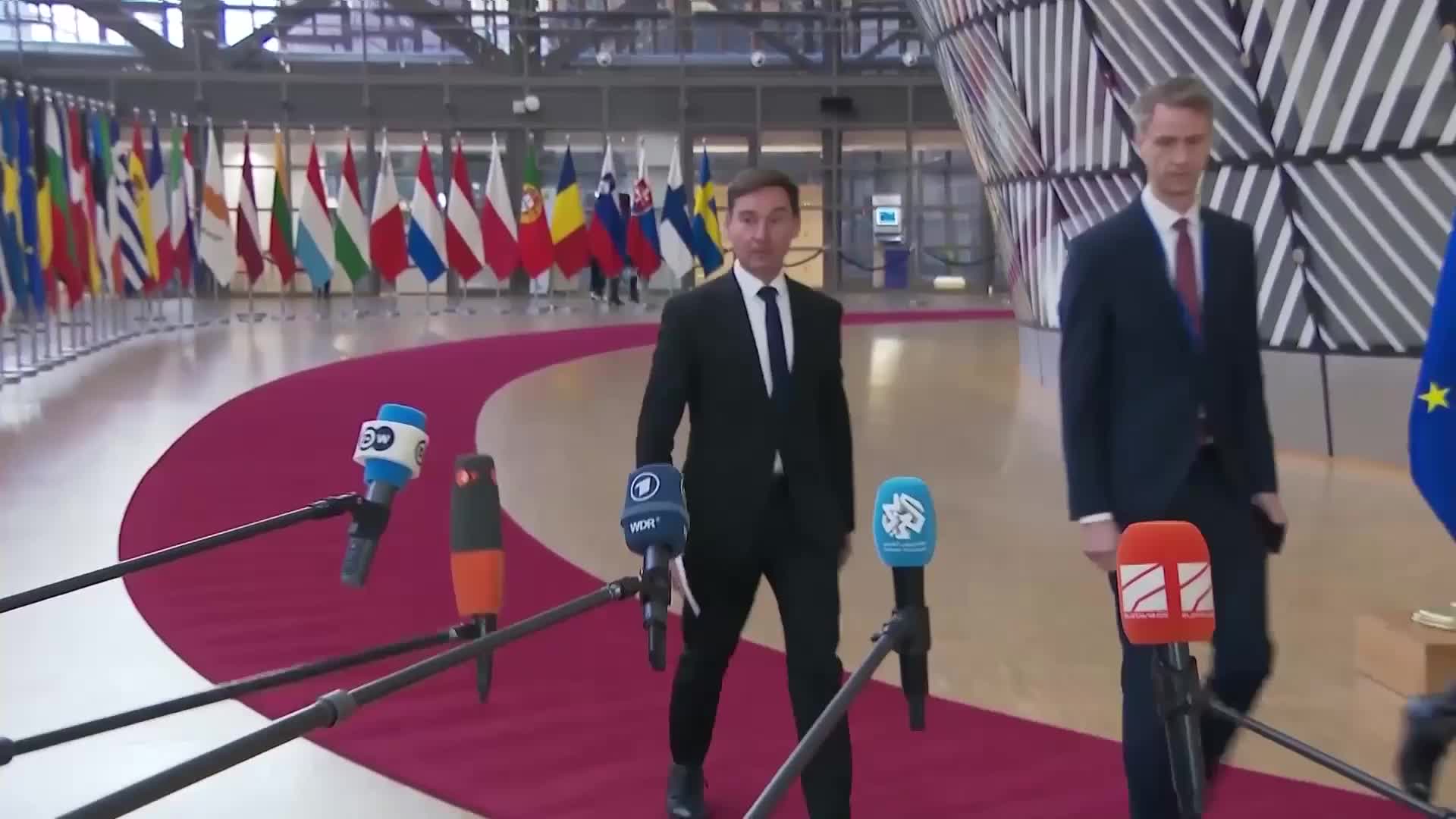 Ukrainian territory is matter of OUR security and 'NATO structure' - German defence rep demands 'unified European position'